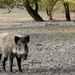 DSCN0315a