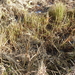 DSCN0320