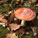 DSCN0323