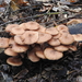 DSCN0324