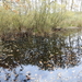DSCN0326