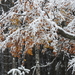 DSCN0382