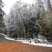 DSCN0381