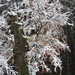 DSCN0399
