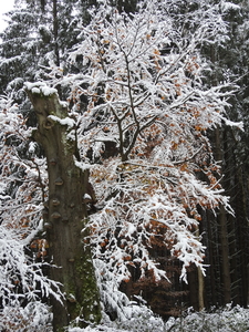 DSCN0399