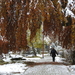 DSCN0401