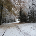DSCN0411