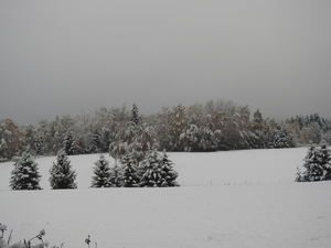 DSCN0412