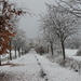 DSCN0413