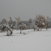 DSCN0414