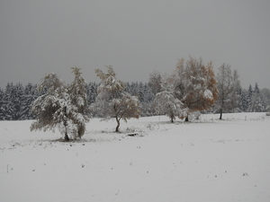 DSCN0414