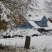DSCN0415