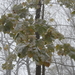 DSCN0439