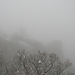 DSCN0444