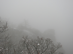 DSCN0444