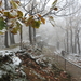 DSCN0446