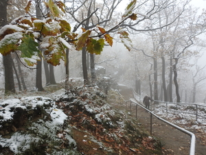 DSCN0446