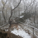 DSCN0448