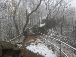 DSCN0448