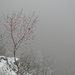 DSCN0449