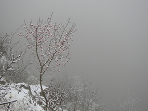 DSCN0449