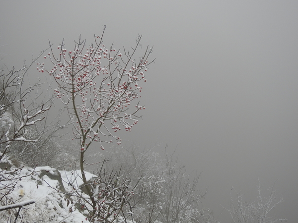 DSCN0449