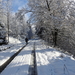 DSCN0530