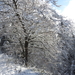 DSCN0531