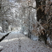 DSCN0540