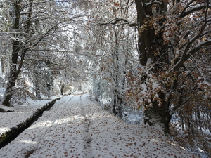 DSCN0540