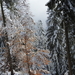 DSCN0541