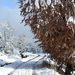 DSCN0542