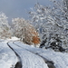 DSCN0543