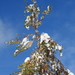 DSCN0544