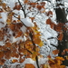 DSCN0546