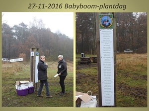 2016-11-27 Babyboom-plantdag