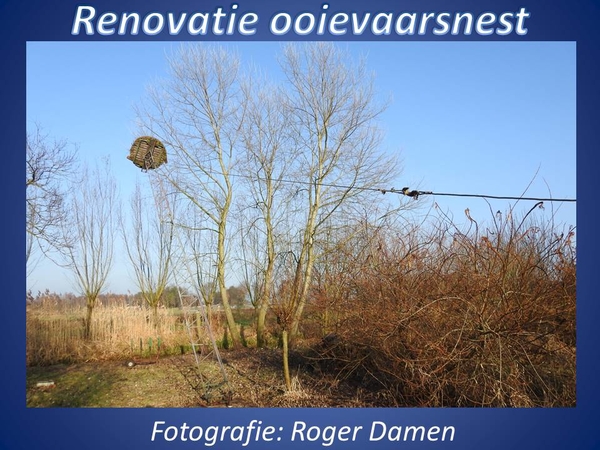 2016-12-19 OOIEVAARSNEST (RD)