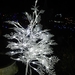 DSCN0196