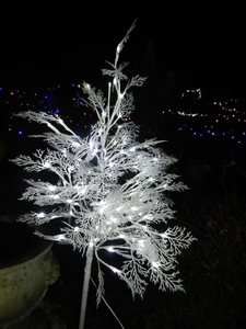 DSCN0196