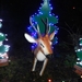 DSCN0197