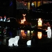 DSCN0204