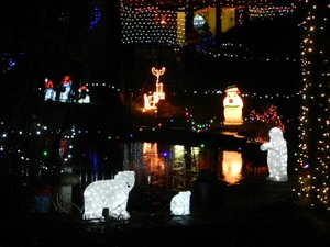 DSCN0204