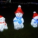 DSCN0208