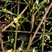 DSCN0210