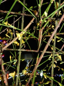 DSCN0210