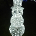 DSCN0217
