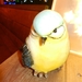 DSCN0218
