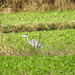 DSCN0673
