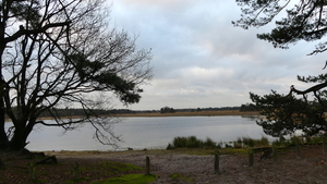 P1010531