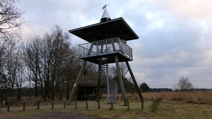 P1010541